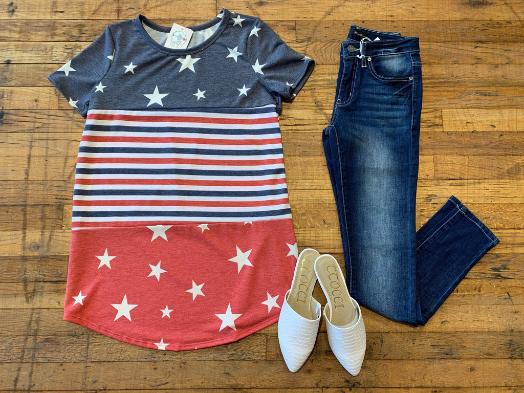 SALE! Land That I Love Tunic *Final Sale*