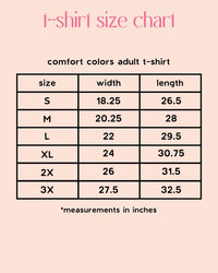 Count Your Lucky Stars Tee in Charcoal