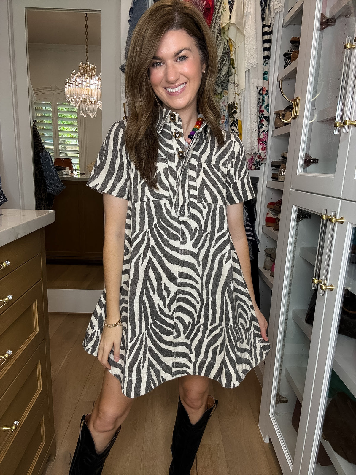 Between the Lines Denim Zebra Dress