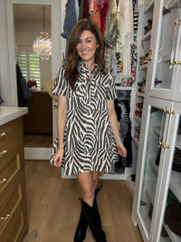 Between the Lines Denim Zebra Dress