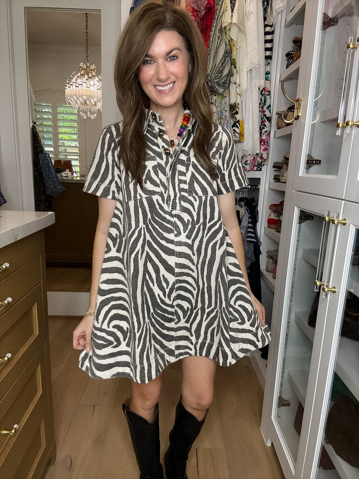 Between the Lines Denim Zebra Dress