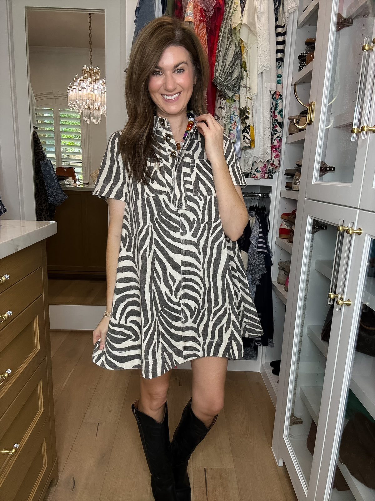 Between the Lines Denim Zebra Dress