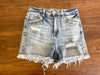 Risen Havasu Shorts