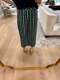 Line By Line Striped Pants in Navy/Green