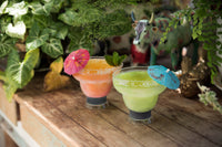 HOST Margarita FREEZE™ Cooling Cups (Set of 2) *Final Sale*